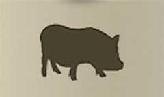 Pig silhouette