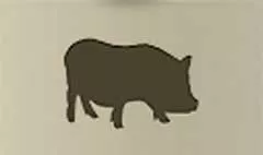 豚
