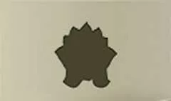蓮