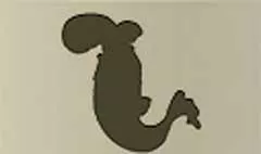 魚