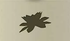 蓮