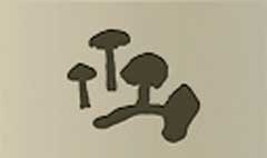 Mushrooms silhouette