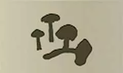 キノコ