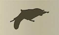 Flying Squirrel silhouette
