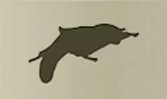 ムササビ