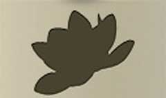 Lotus silhouette