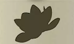 蓮