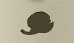 みかん