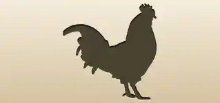 Rooster silhouette