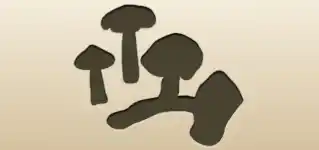 Mushrooms silhouette