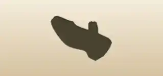 Shoe silhouette