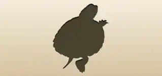 Turtle silhouette