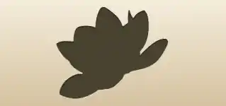 Lotus silhouette