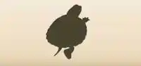 カメのシルエット