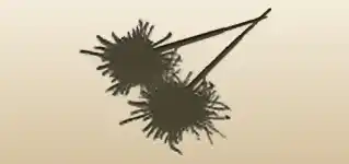 Sparklers silhouette
