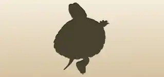 Turtle silhouette