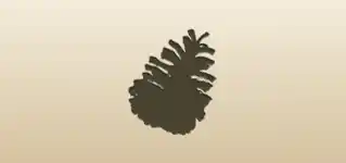 Pinecone silhouette