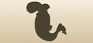 Fish silhouette