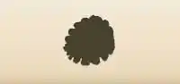 Pinecone