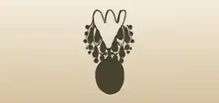 Necklace silhouette