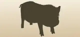 Piggy silhouette