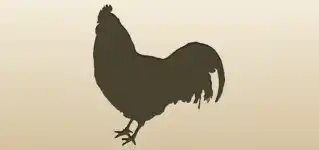 Rooster silhouette
