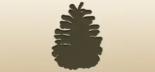 Pinecone silhouette
