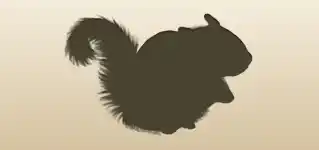 Flying Squirrel silhouette