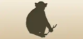 Monkey silhouette