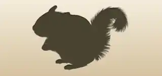 Flying Squirrel silhouette