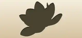Lotus silhouette