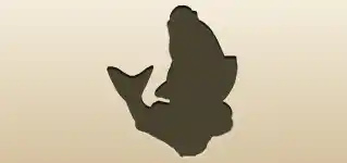 Fish silhouette