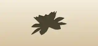 Lotus silhouette