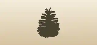 Pinecone silhouette