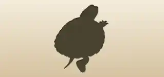 Turtle silhouette
