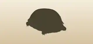 Turtle silhouette