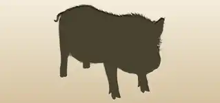 Piggy silhouette