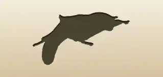 Flying Squirrel silhouette