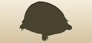 Turtle silhouette