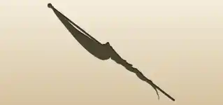 Flag silhouette