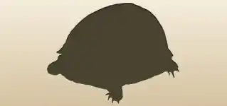 Turtle silhouette