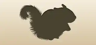 Flying Squirrel silhouette