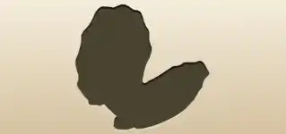 Powder Box silhouette