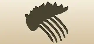Comb silhouette