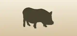 Piggy silhouette