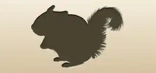 Flying Squirrel silhouette