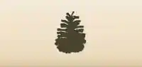 Pinecone
