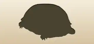Turtle silhouette