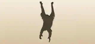 Monkey silhouette