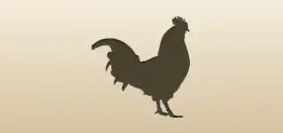 Rooster silhouette